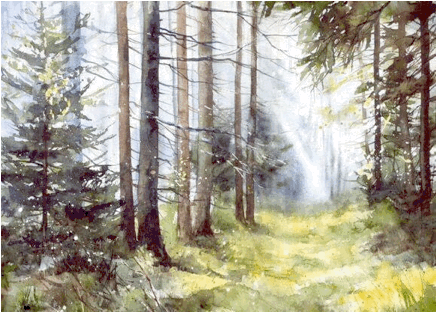1552964749332162.gif